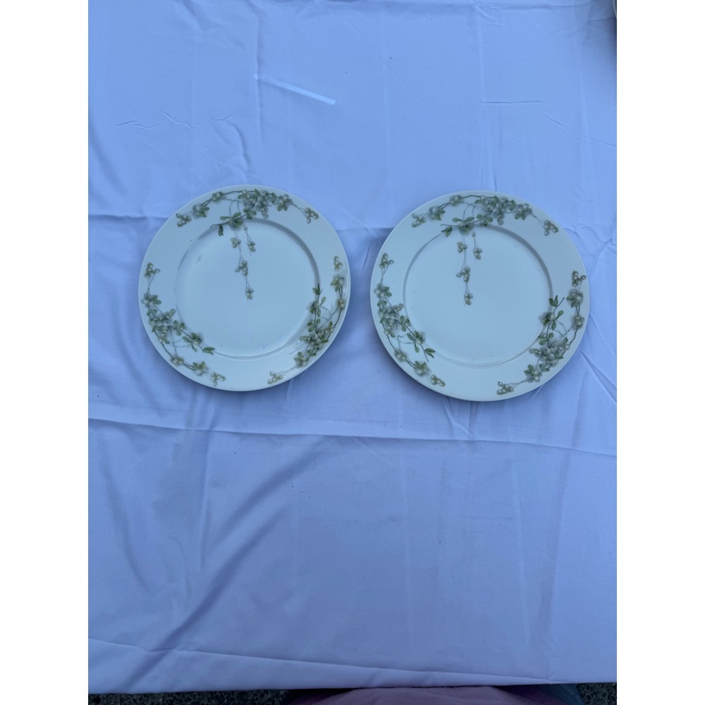 Bavaria Germany Porcelain Salad Plates Set of 2 Green Berries Botanical Vintage